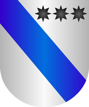 ESCUDO SIGUIENTE