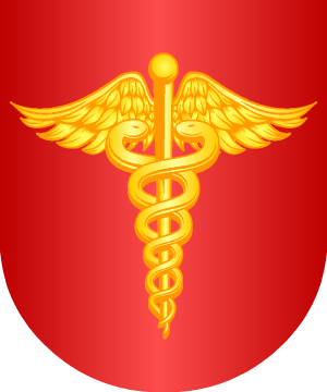 ESCUDO PRECEDENTE