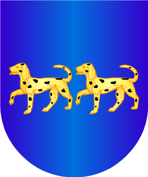 ESCUDO ALEATORIO