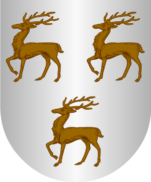 ESCUDO ALEATORIO