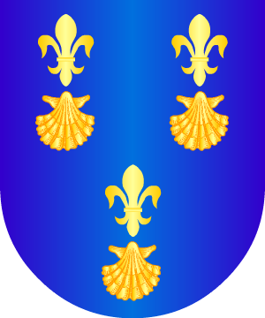 ESCUDO SIGUIENTE