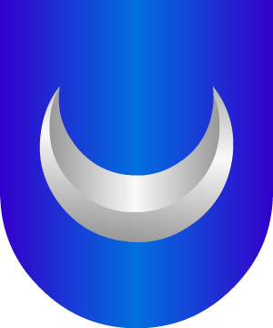 ESCUDO ALEATORIO