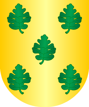 ESCUDO PRECEDENTE