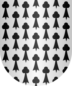 ESCUDO SIGUIENTE