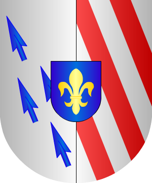 ESCUDO SIGUIENTE