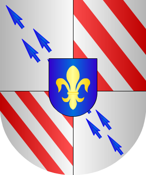 ESCUDO ALEATORIO
