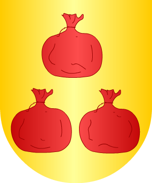 ESCUDO SIGUIENTE