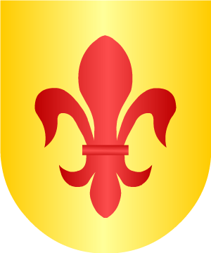 ESCUDO ALEATORIO