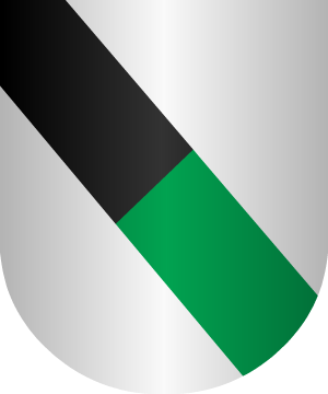 ESCUDO PRECEDENTE
