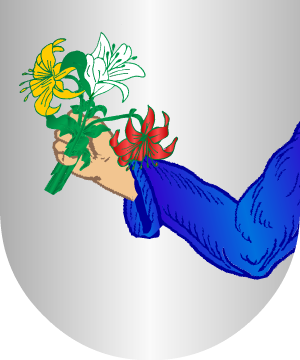 ESCUDO ALEATORIO