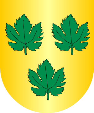 ESCUDO SIGUIENTE