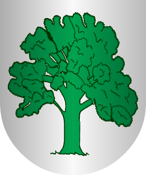 ESCUDO PRECEDENTE