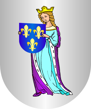 ESCUDO ALEATORIO