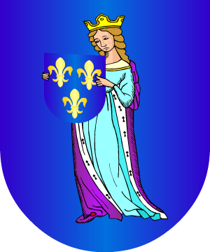 ESCUDO ALEATORIO