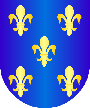 ESCUDO ALEATORIO