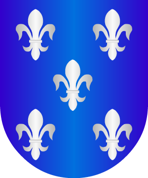 ESCUDO SIGUIENTE