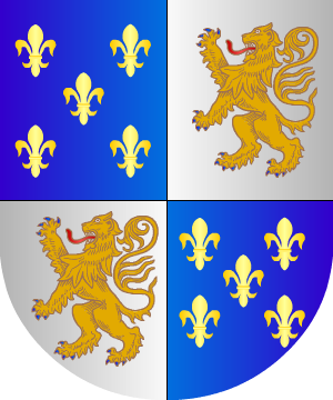 ESCUDO SIGUIENTE
