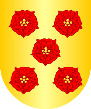 ESCUDO SIGUIENTE