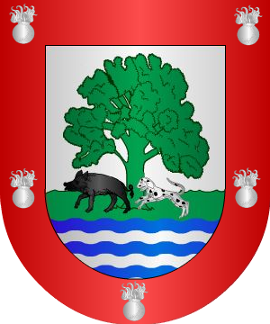 ESCUDO ALEATORIO