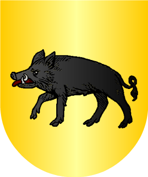 ESCUDO SIGUIENTE
