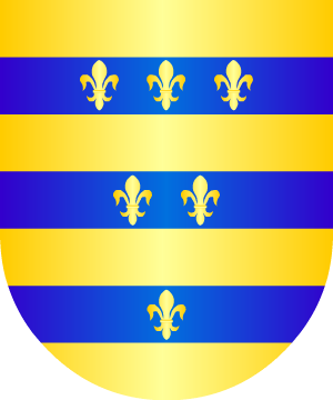 ESCUDO ALEATORIO
