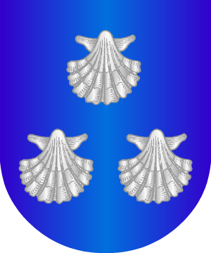 ESCUDO ALEATORIO