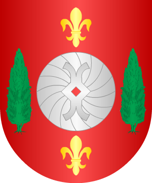 ESCUDO SIGUIENTE
