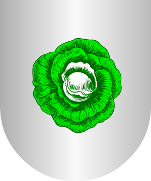 ESCUDO ALEATORIO