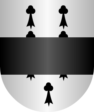 ESCUDO ALEATORIO