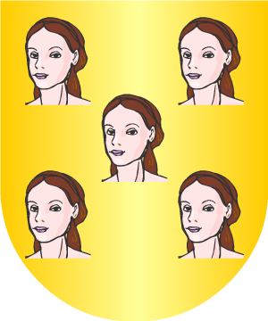 ESCUDO PRECEDENTE