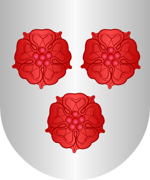 ESCUDO ALEATORIO