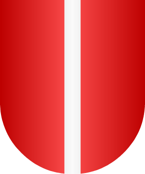 ESCUDO PRECEDENTE