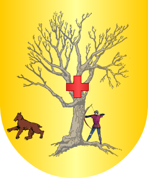ESCUDO SIGUIENTE
