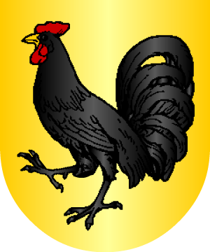 ESCUDO ALEATORIO