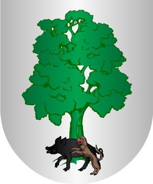 ESCUDO SIGUIENTE
