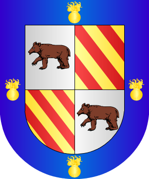ESCUDO SIGUIENTE