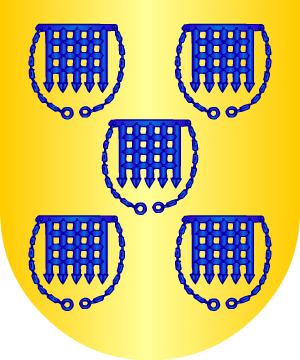 ESCUDO SIGUIENTE