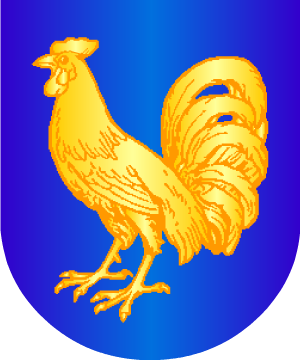 ESCUDO ALEATORIO