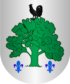 ESCUDO SIGUIENTE