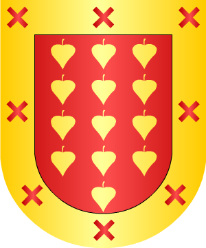 ESCUDO SIGUIENTE