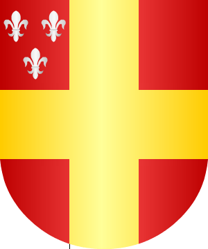 ESCUDO ALEATORIO