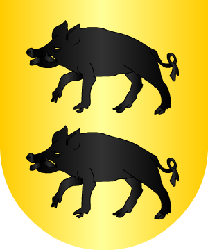ESCUDO ALEATORIO