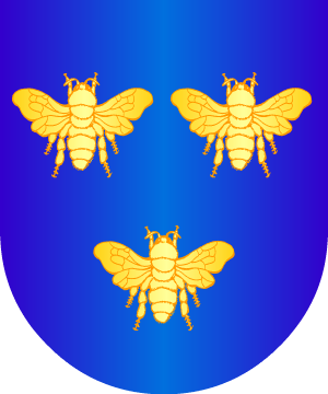 ESCUDO ALEATORIO