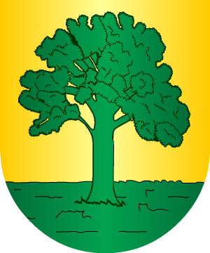 ESCUDO SIGUIENTE