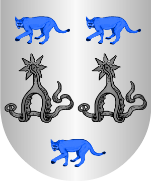 ESCUDO ALEATORIO