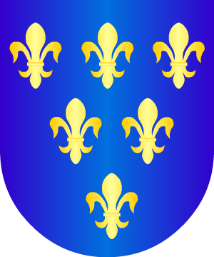 ESCUDO SIGUIENTE