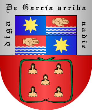 ESCUDO ALEATORIO
