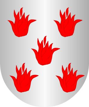 ESCUDO ALEATORIO
