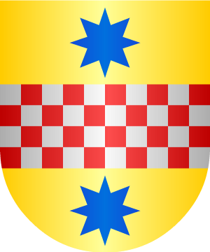 ESCUDO SIGUIENTE