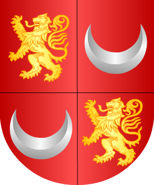ESCUDO ALEATORIO